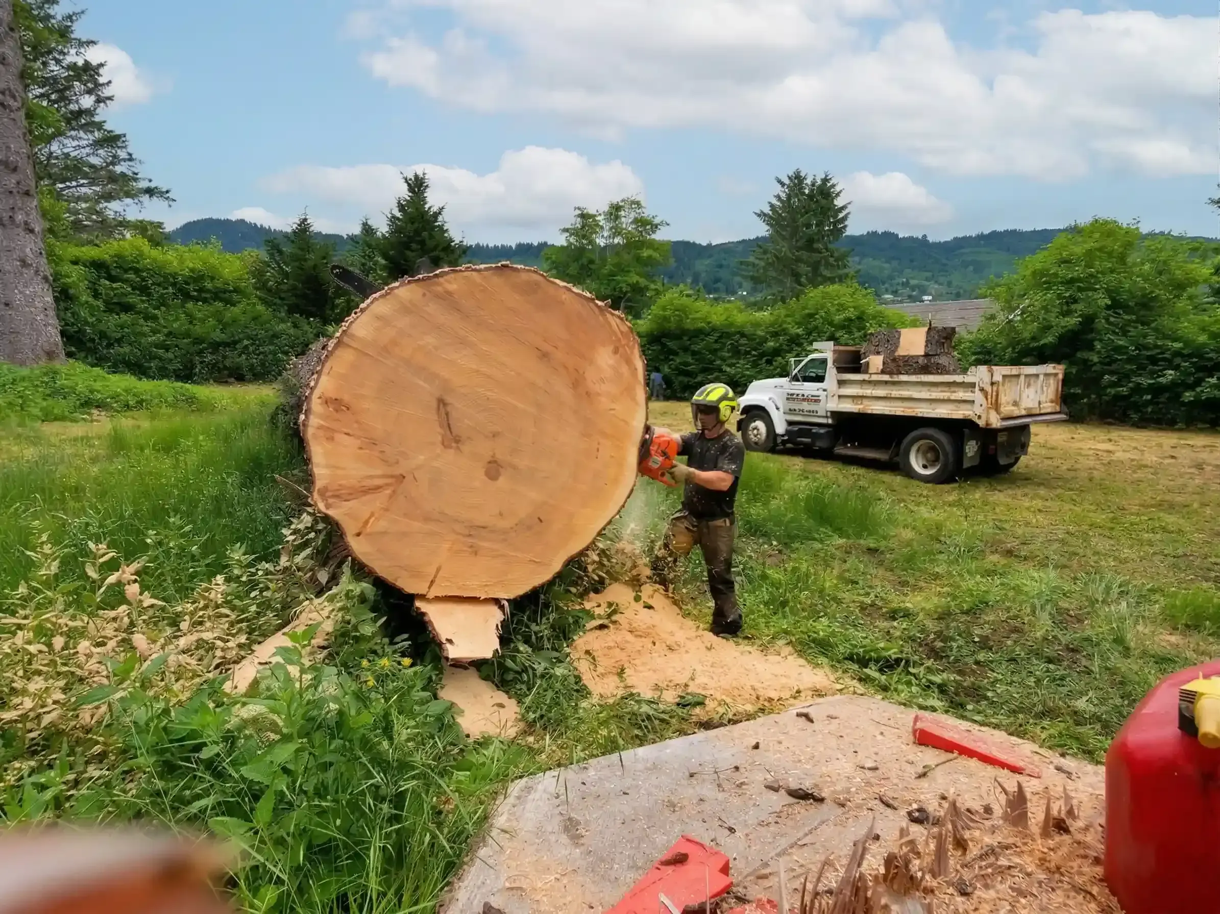 A Good Tree Service crew cutting felled tree trunk in Curry County, Oregon
